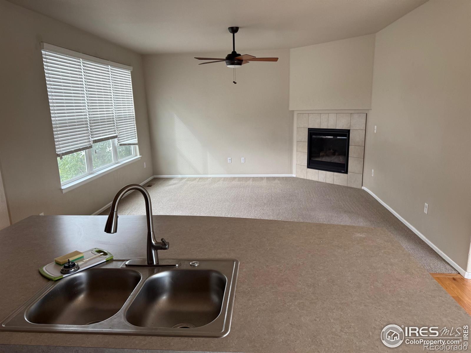 431 Ptarmigan Street