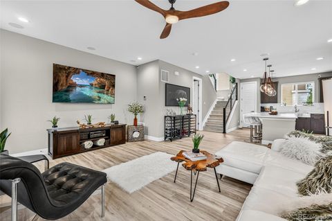 2597 Channel Drive Highlands Ranch CO 80129