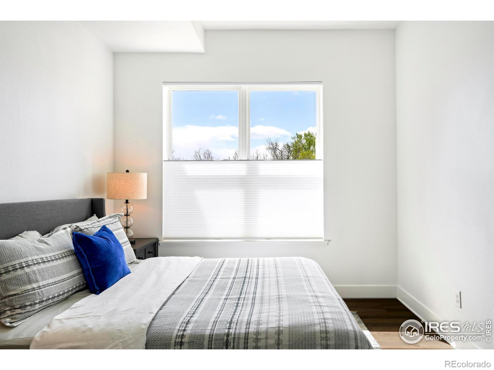 1707 Walnut Street 306