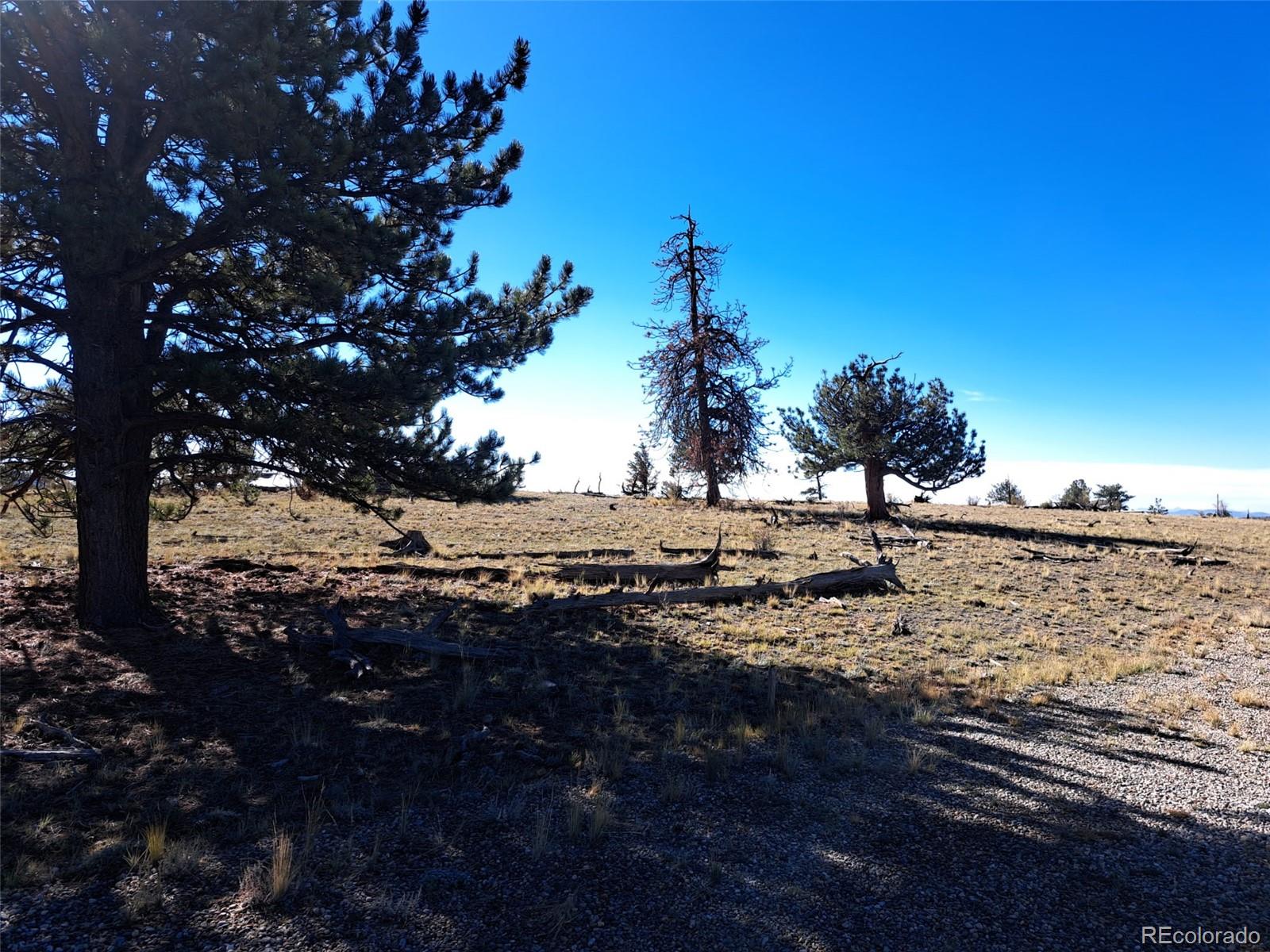 508 Grand Teton Drive