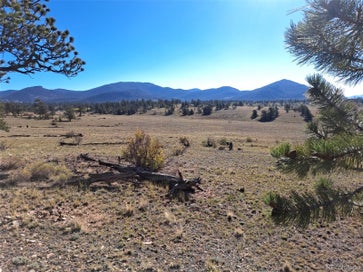 508 Grand Teton Drive Hartsel CO 80449