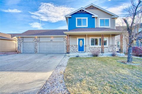 4572 Hayler Avenue Loveland CO 80538