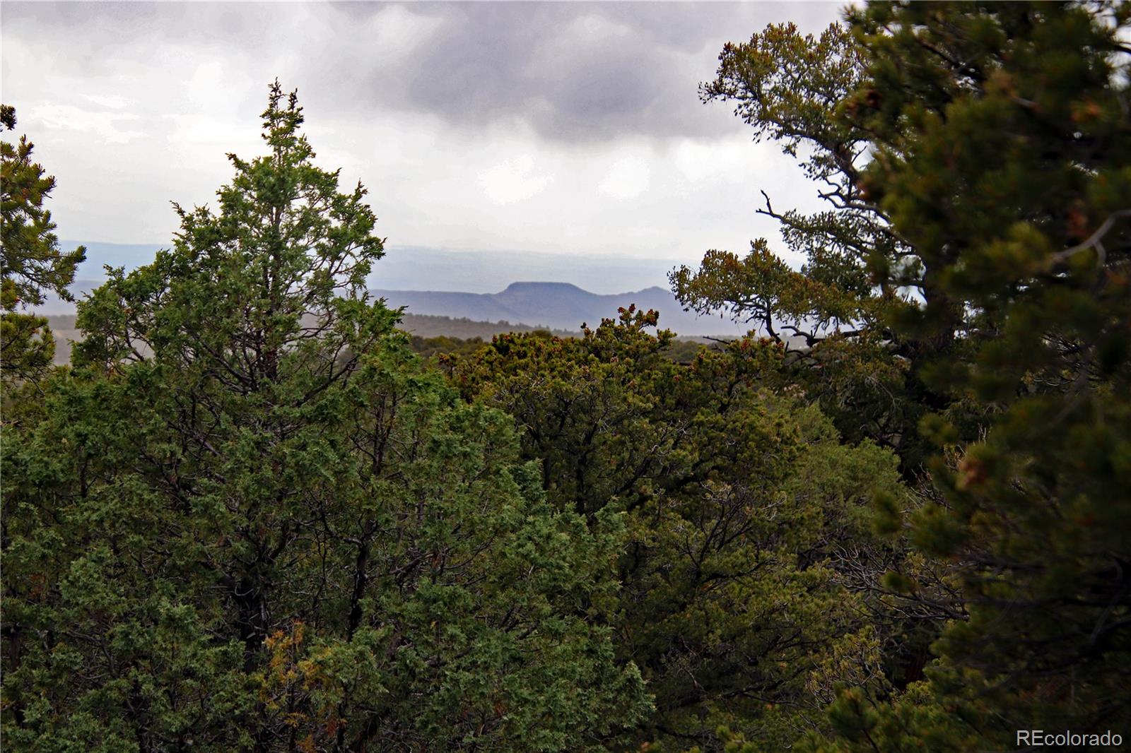 Lot 60 Horseshoe Trail
