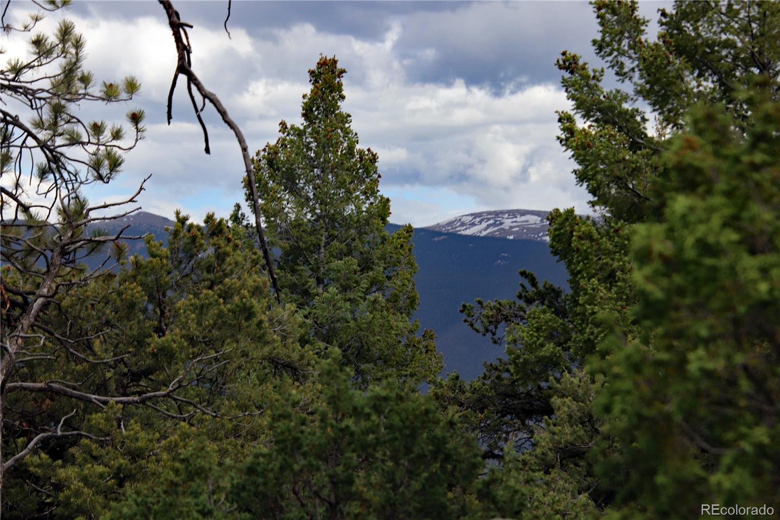 Lot 60 Horseshoe Trail
