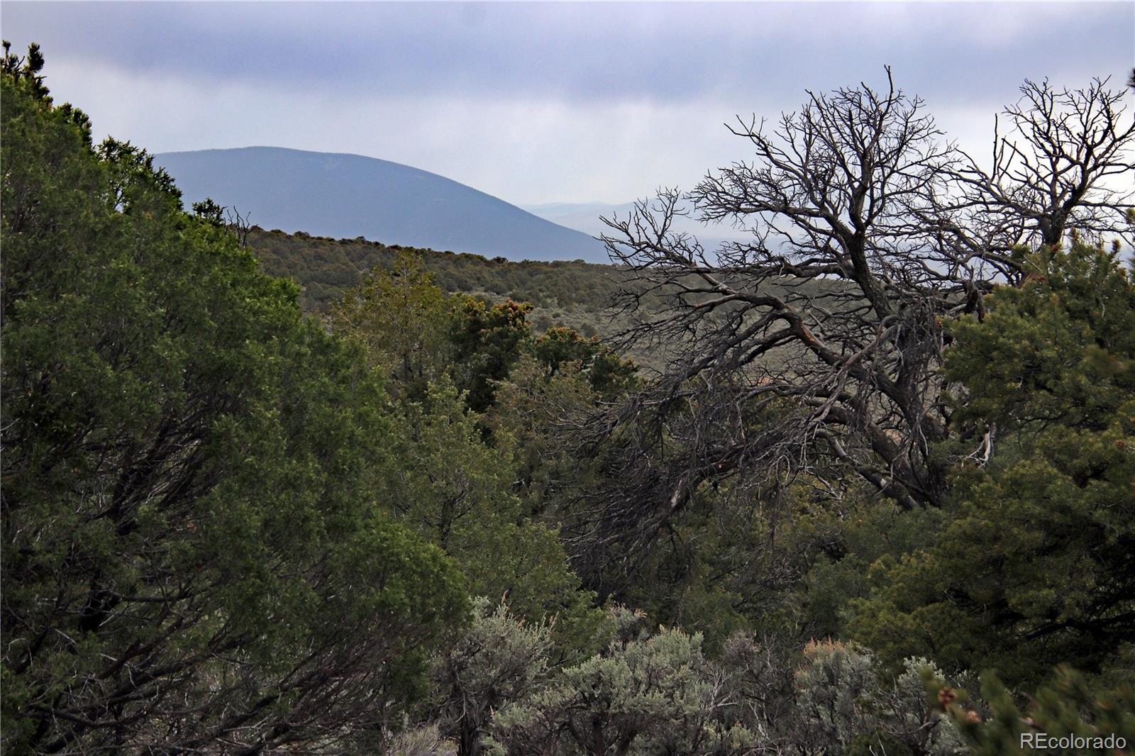 Lot 60 Horseshoe Trail
