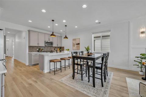 180 N Edge Cliff Street Castle Rock CO 80104