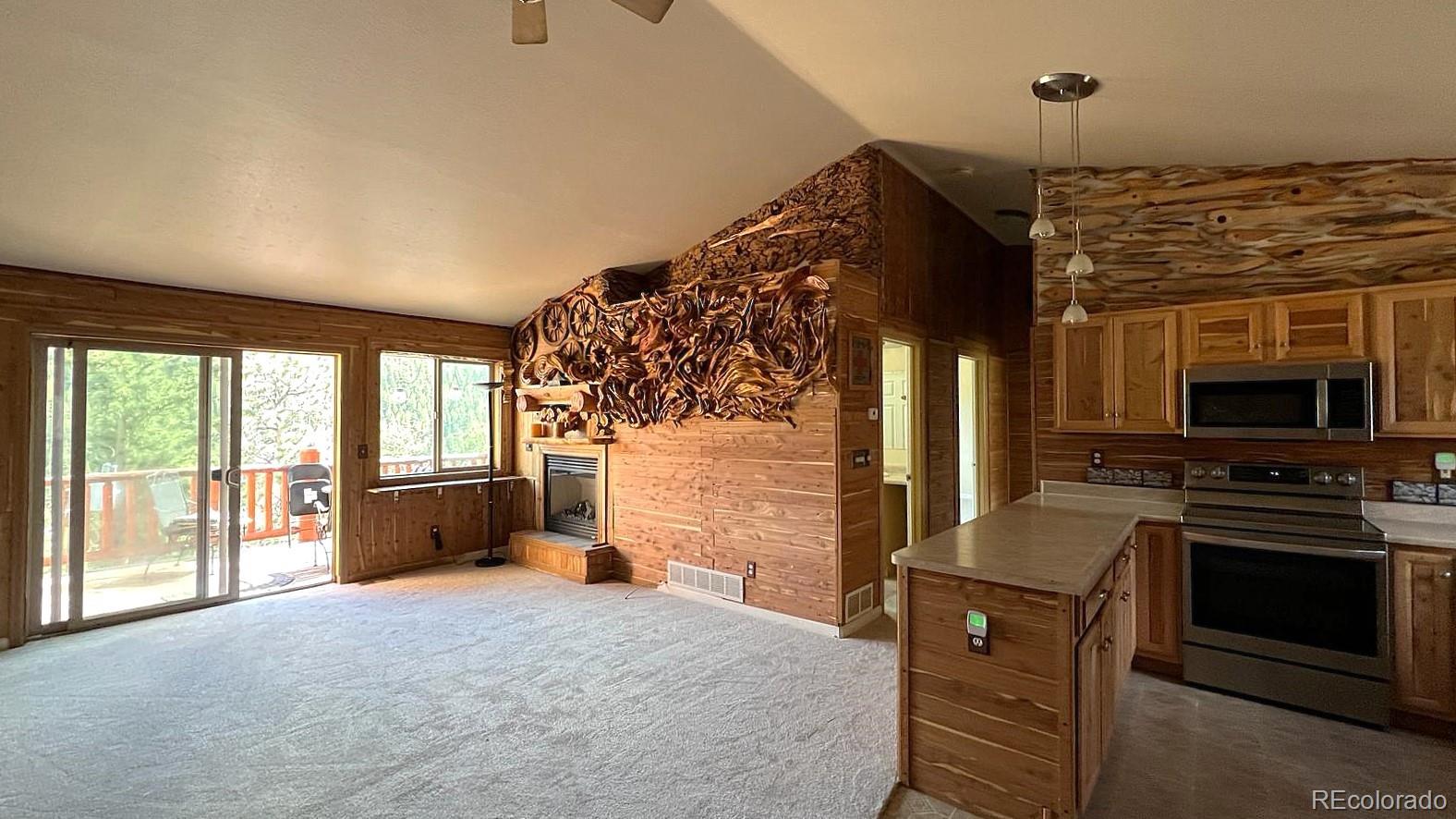303 Virginia Road E, Bailey, CO, 80421 1 303 Virginia Road E
