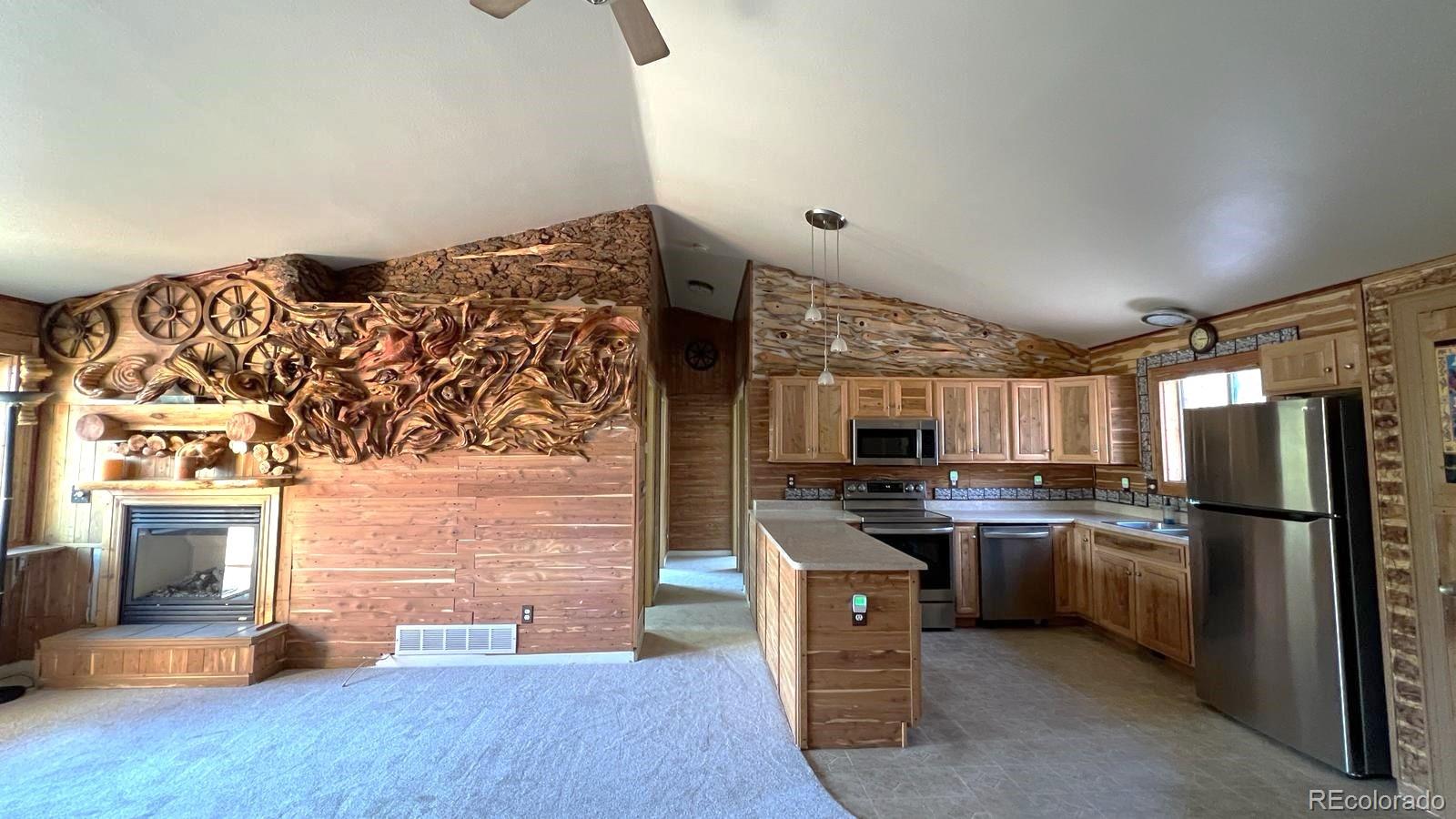 303 Virginia Road E, Bailey, CO, 80421 3 303 Virginia Road E