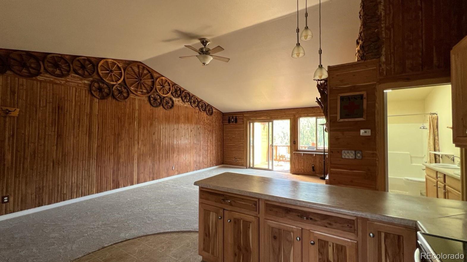303 Virginia Road E, Bailey, CO, 80421 2 303 Virginia Road E