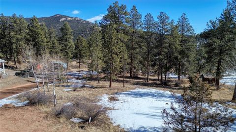 12362 Polly Drive, Pine, CO 80470 - #: 7690803