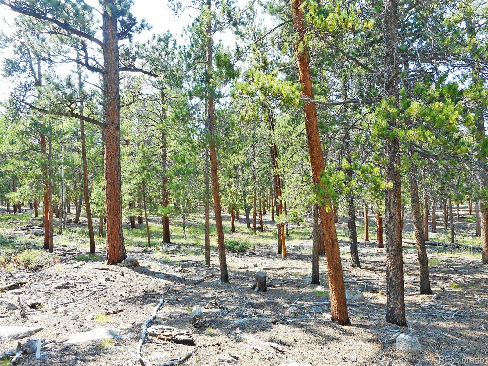 Photo 1 of 7 — 30343 Aspen Turn, Buena Vista, CO 81211