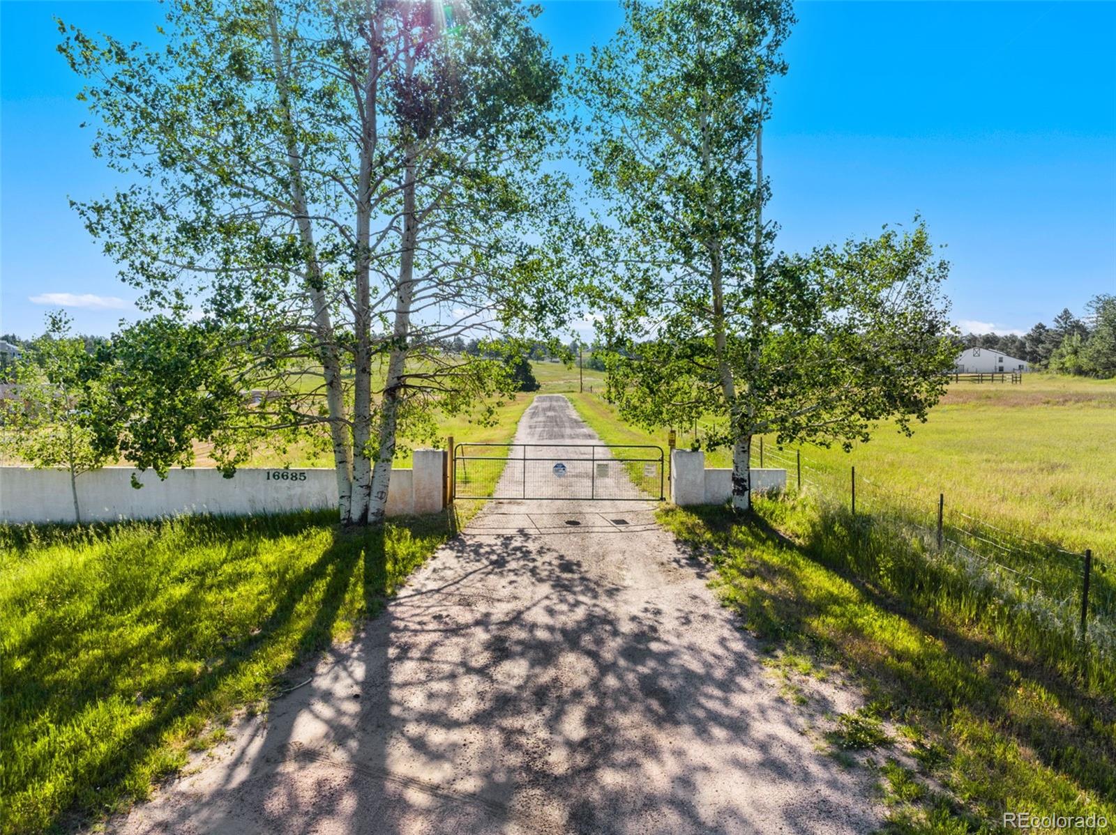 16685 Roller Coaster Road