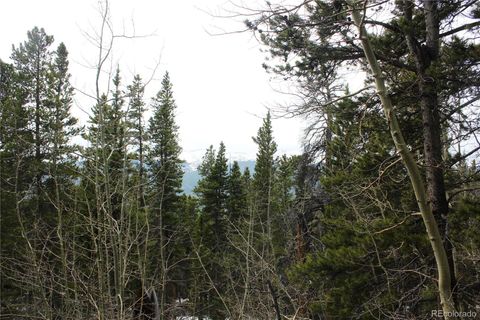 Group 5 Lamertine Road Idaho Springs CO 80452