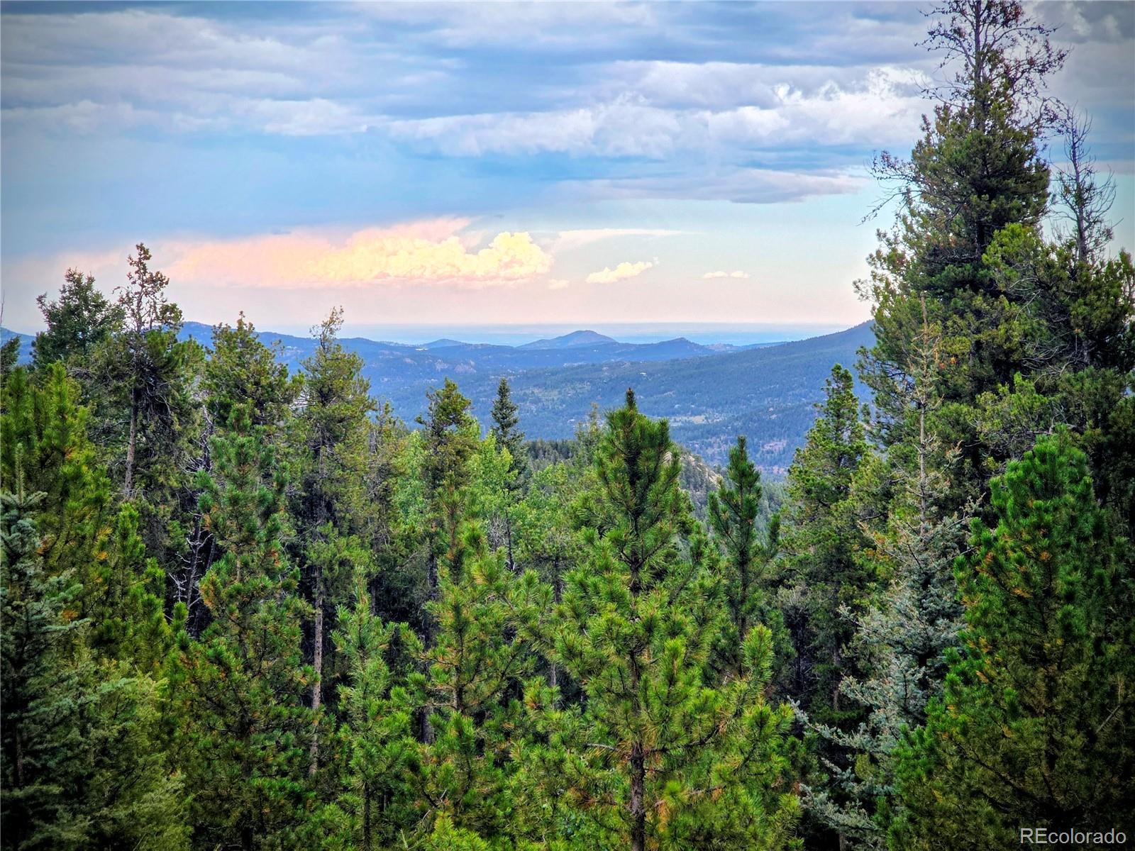 11333 Conifer Mountain Road