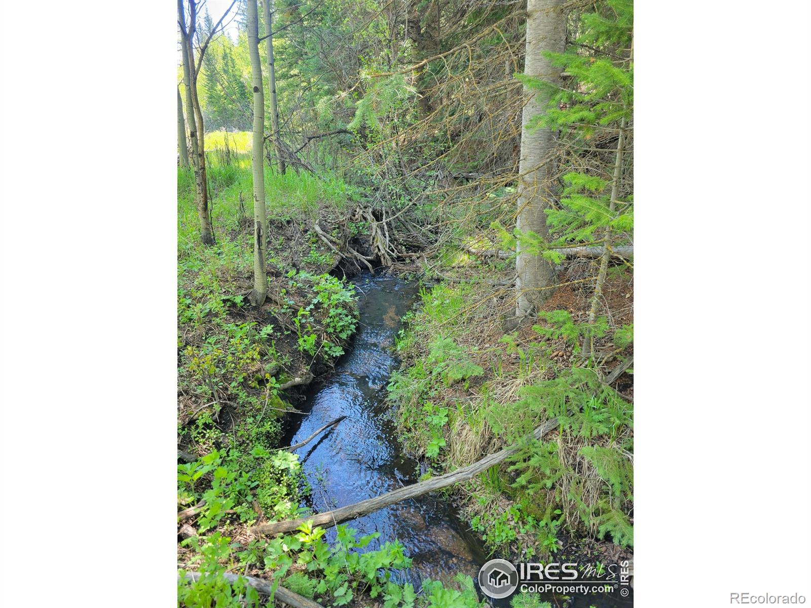 1001 County Road 86
