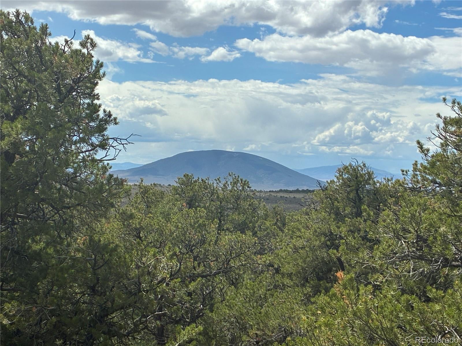 36AC Bull Elk Trail Road