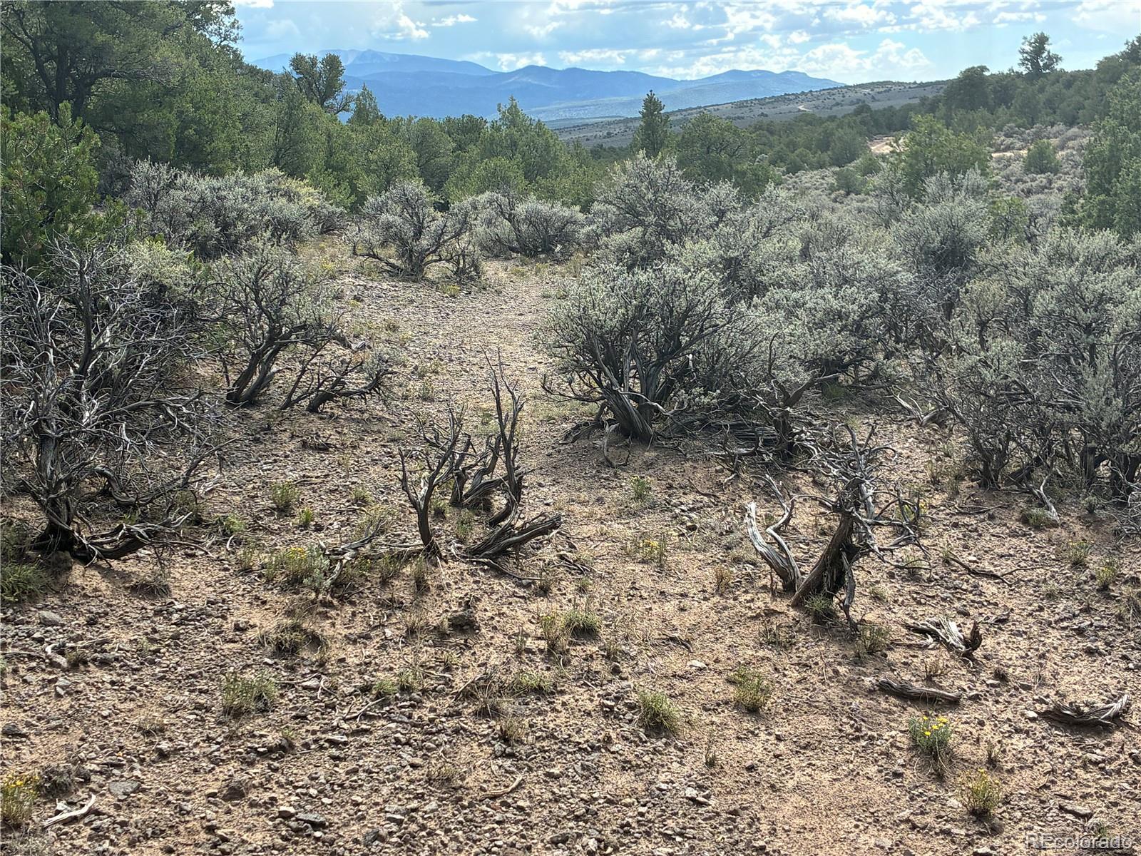 36AC Bull Elk Trail Road
