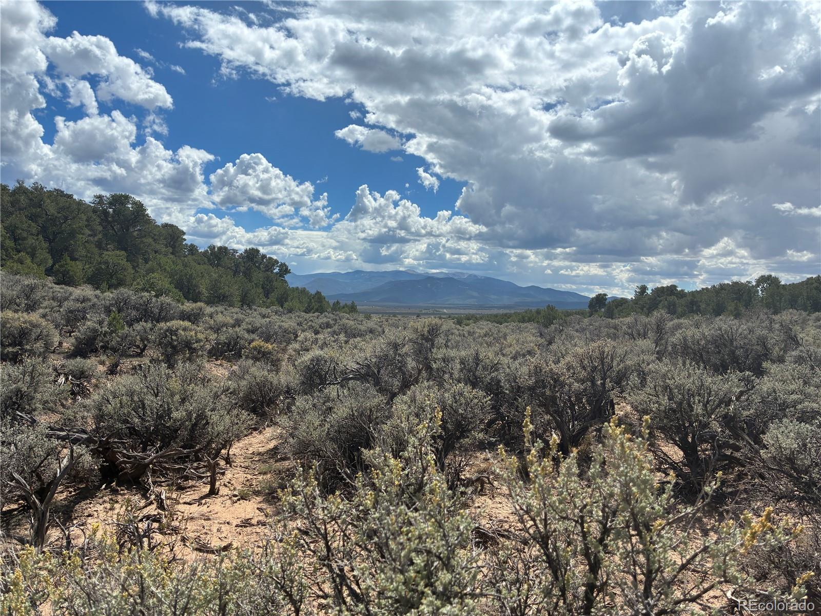36AC Bull Elk Trail Road