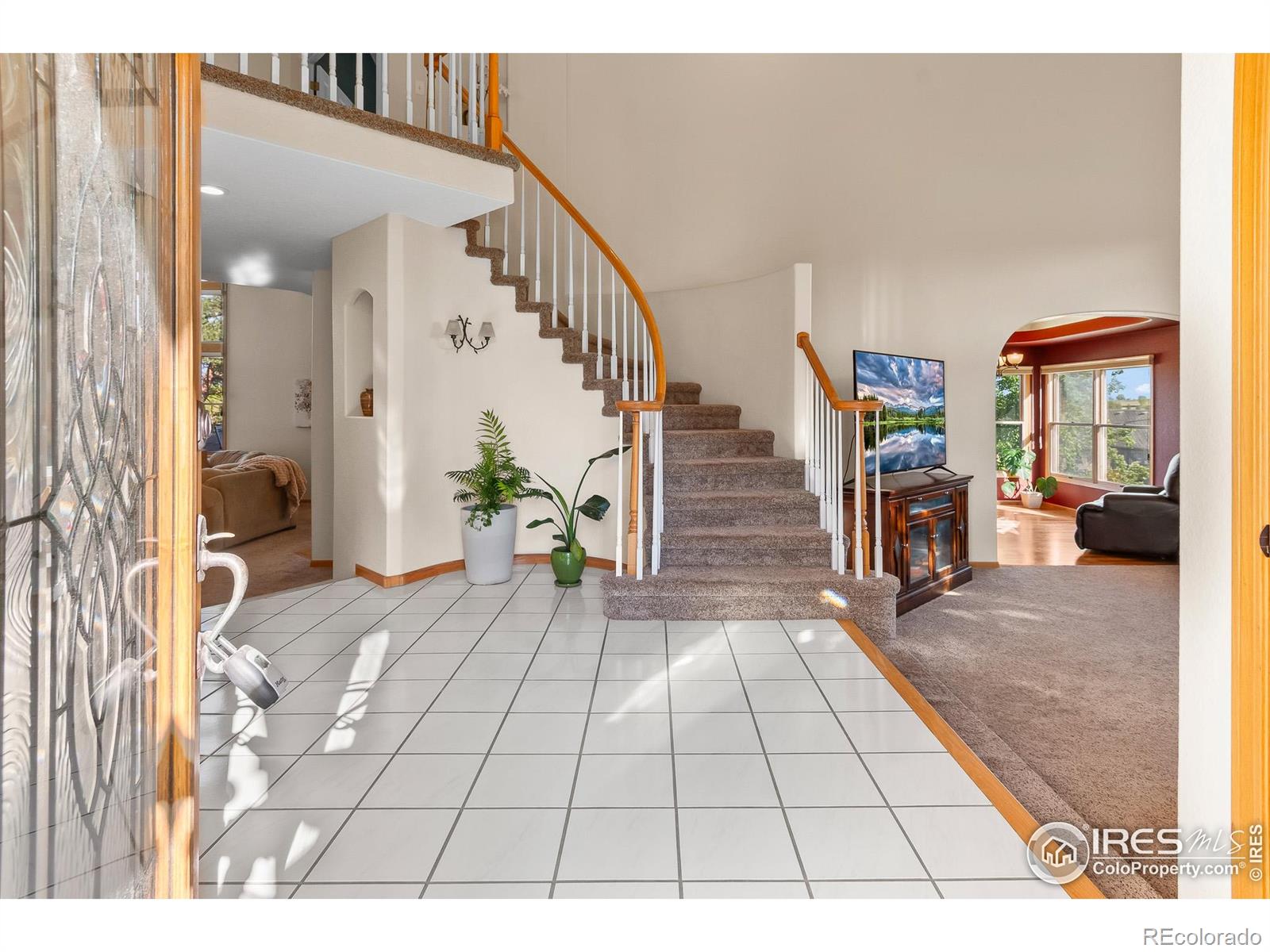 3020 Blue Mountain Court