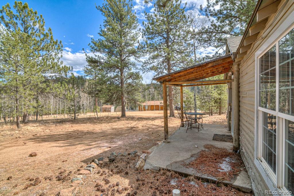 11 Hupp Road, Bailey, CO, 80421 3 11 Hupp Road