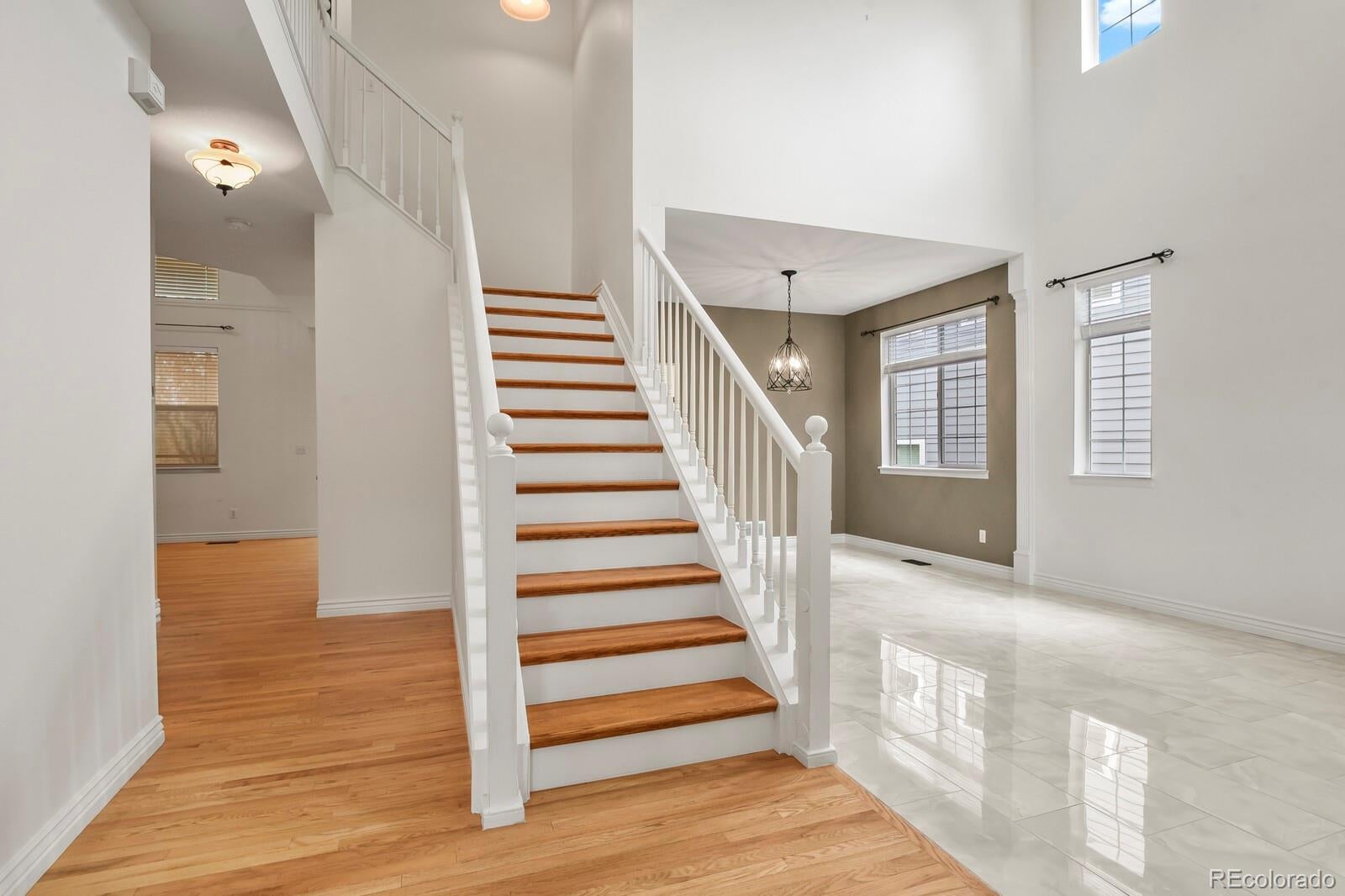 648 English Sparrow Trail