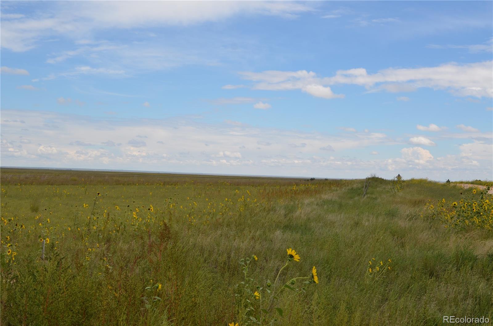 Parcel 6 County Rd 2