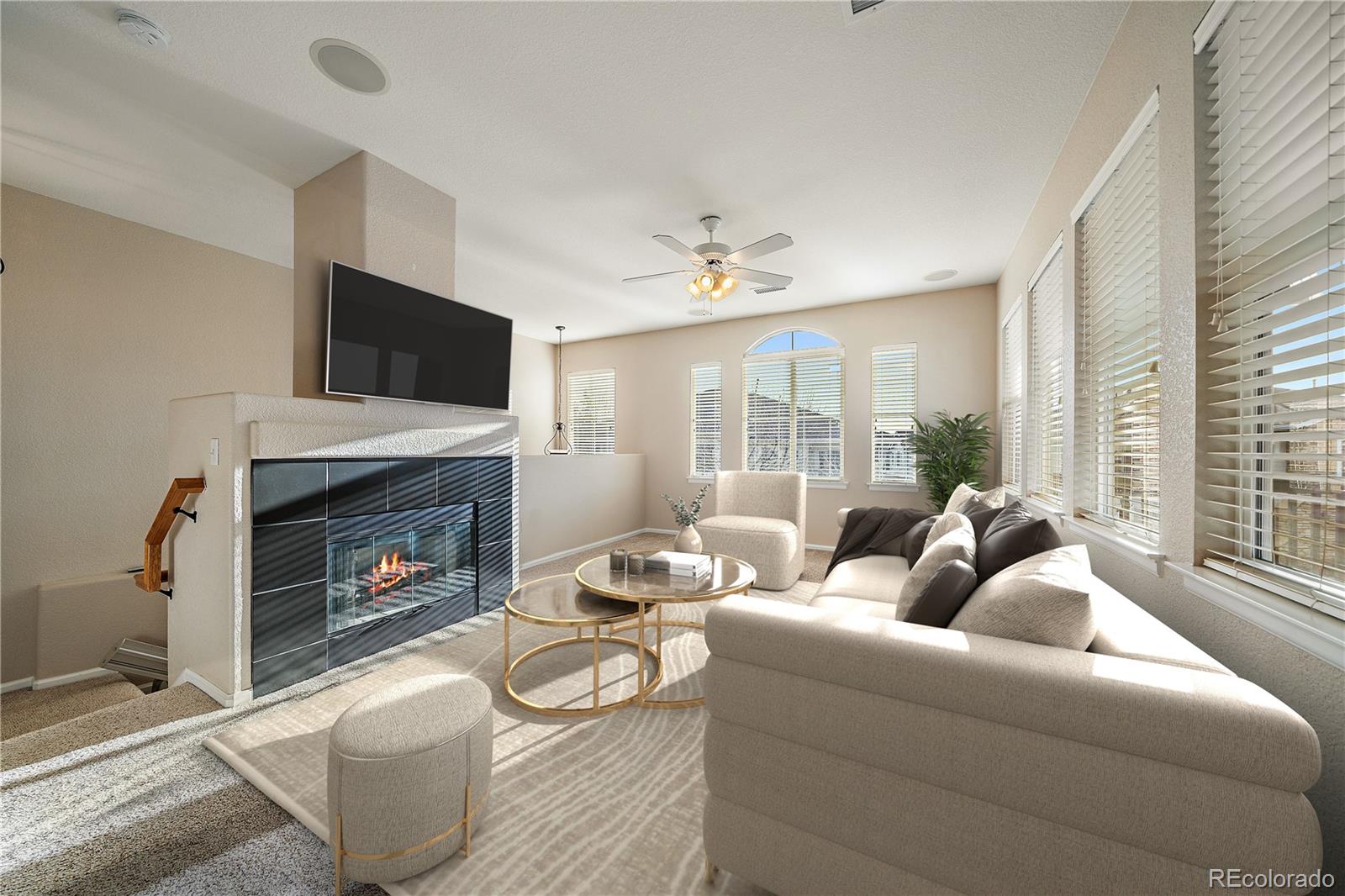 74 Whitehaven Circle, Highlands Ranch, CO, 80129 3 74 Whitehaven Circle