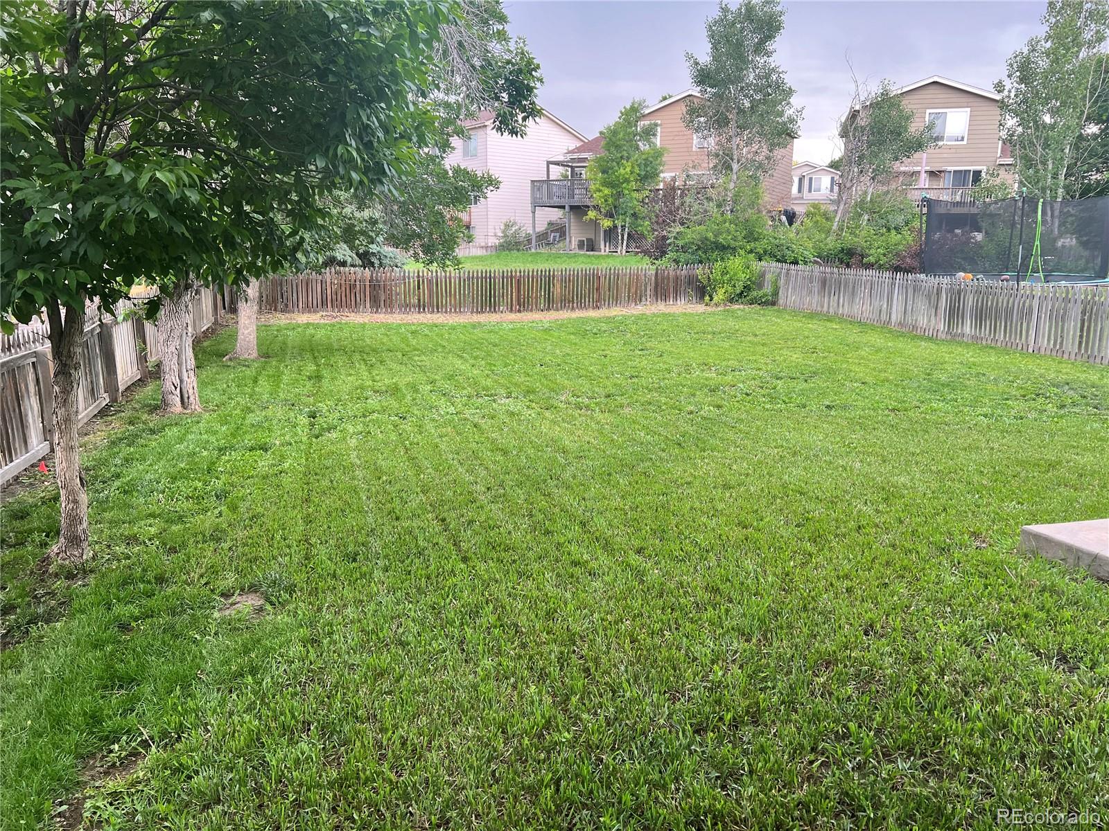 21767 Silver Meadow Lane, Parker, CO, 80138 3 21767 Silver Meadow Lane