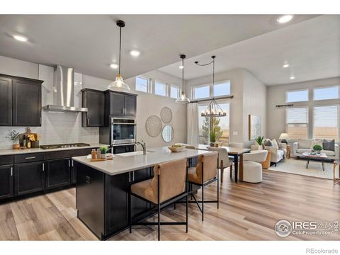 Photo of 6752 Castello Street, Timnath, CO 80547 (MLS # IR1049331)