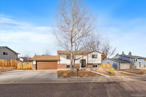 181 Dianna Drive Lone Tree CO 80124