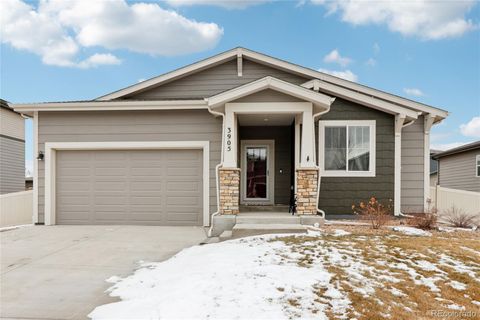 Photo of 3905 Sweetgum Street, Wellington, CO 80549 (MLS # 3989578)