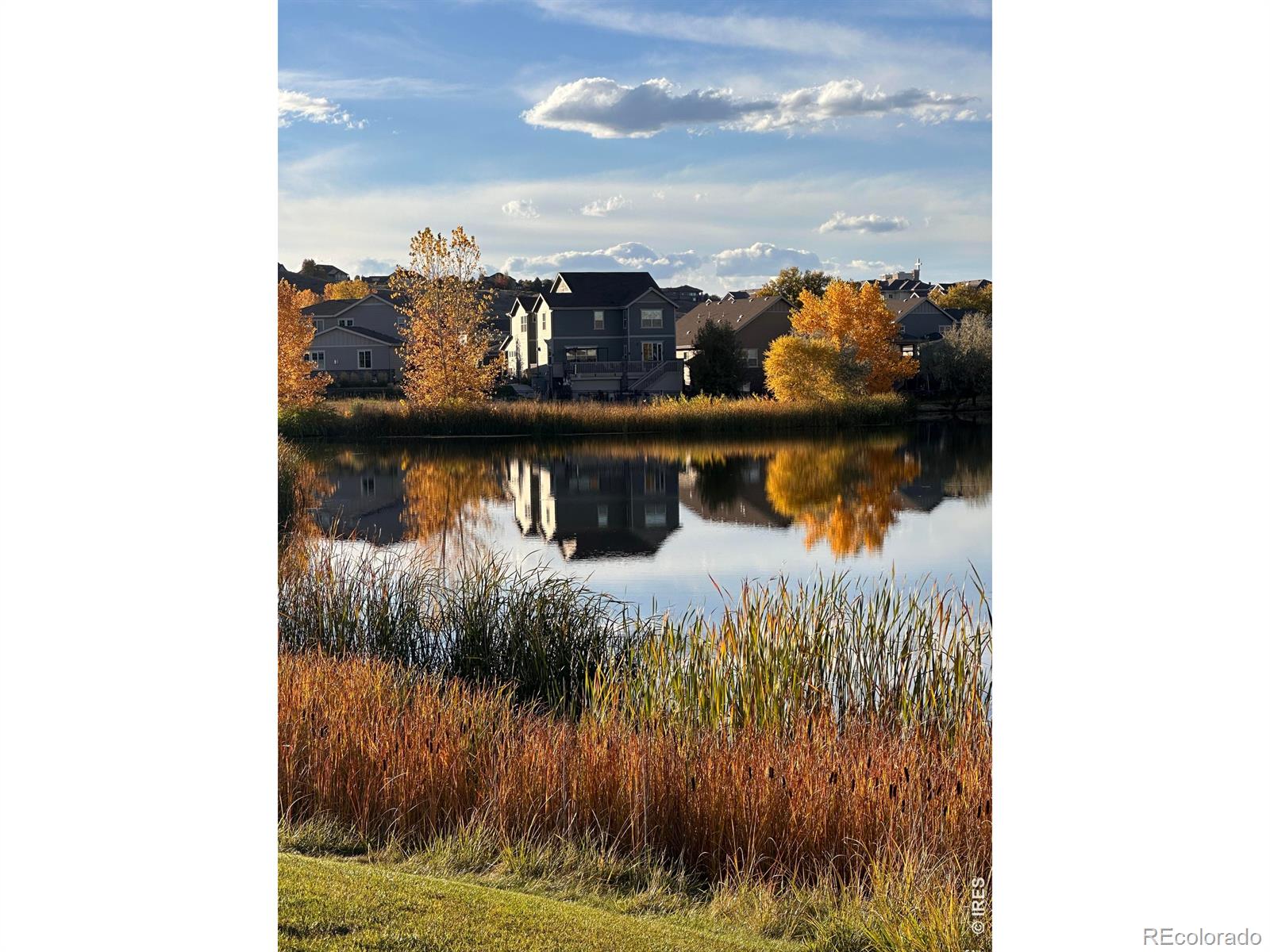 1971 Shadow Lake Court