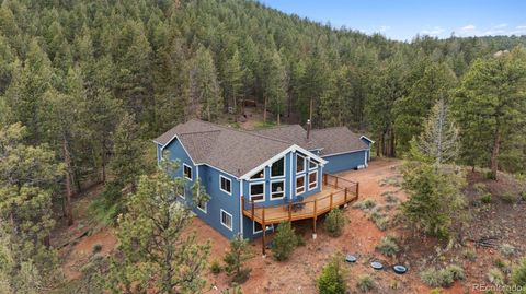 29004 Amerind Springs Trail Pine CO 80470