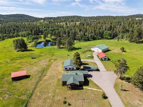 21852 Pleasant Park Road Conifer CO 80433