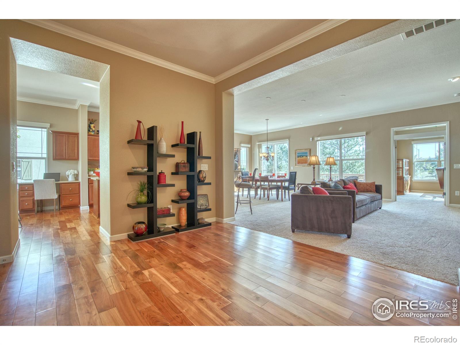 16526 Chesapeake Drive