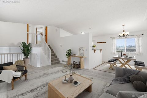 162 Tilbury Avenue Castle Rock Co 80104