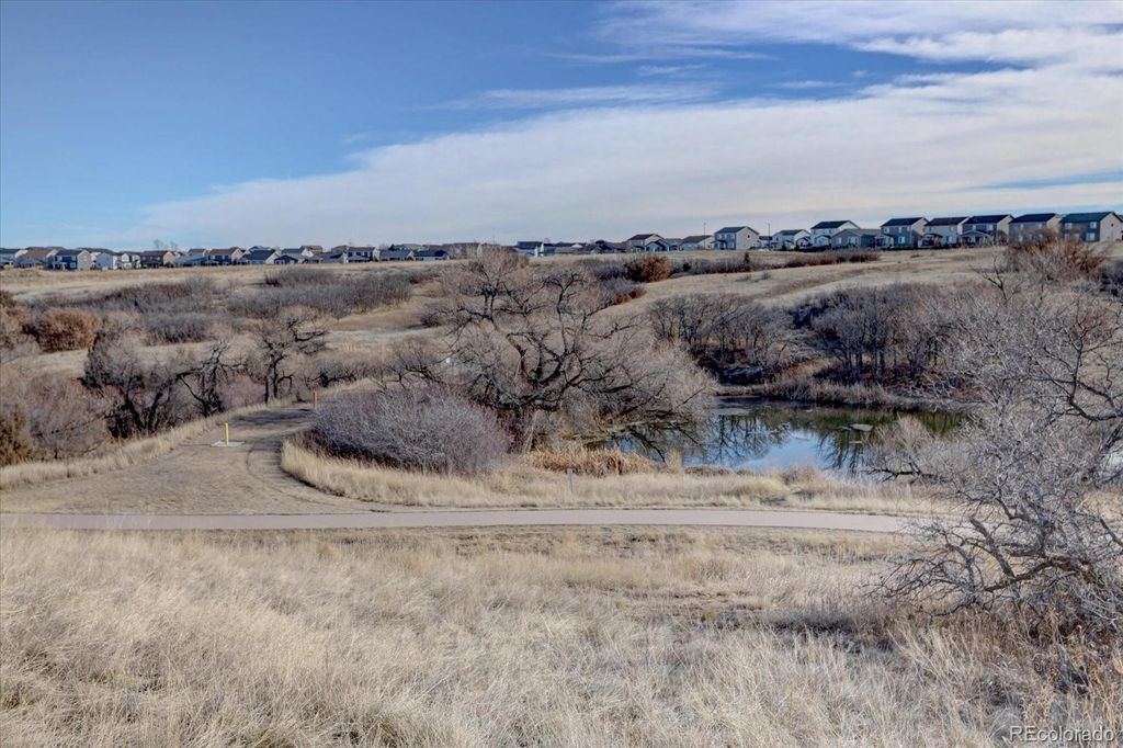 Photo of 162 Tilbury Avenue, Castle Rock, CO 80104 (MLS # 4357349)