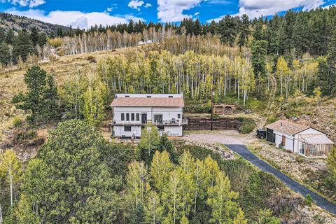 1170 Apex Valley Road Black Hawk CO 80422