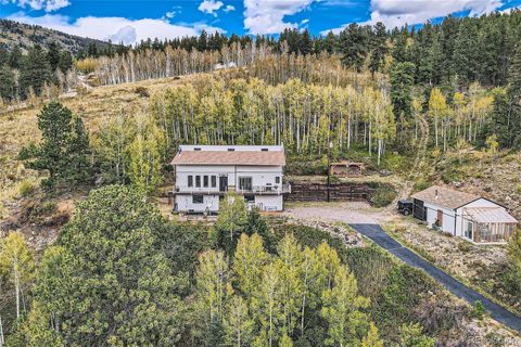 1170 Apex Valley Road Black Hawk CO 80422