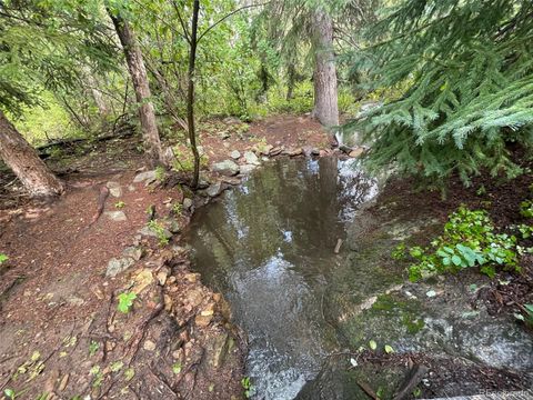 31429 Burke Road Golden CO 80403