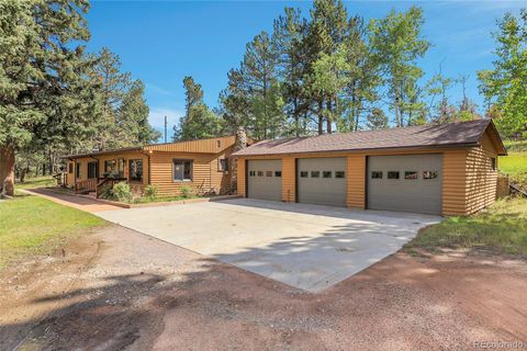 13009 S Parker Avenue Pine CO 80470