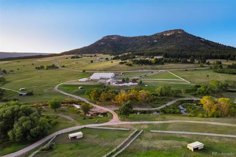 Photo of 850 Fox Farm Road, Larkspur, CO 80118 (MLS # 9520405)