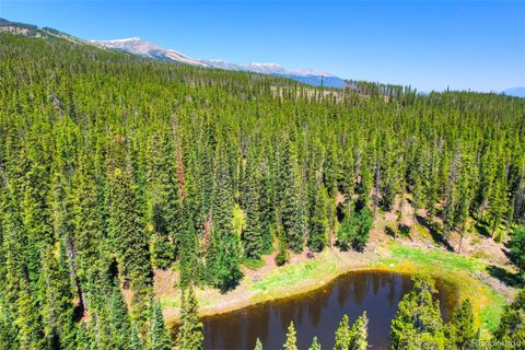 158 Bryce Estates Road Breckenridge CO 80424