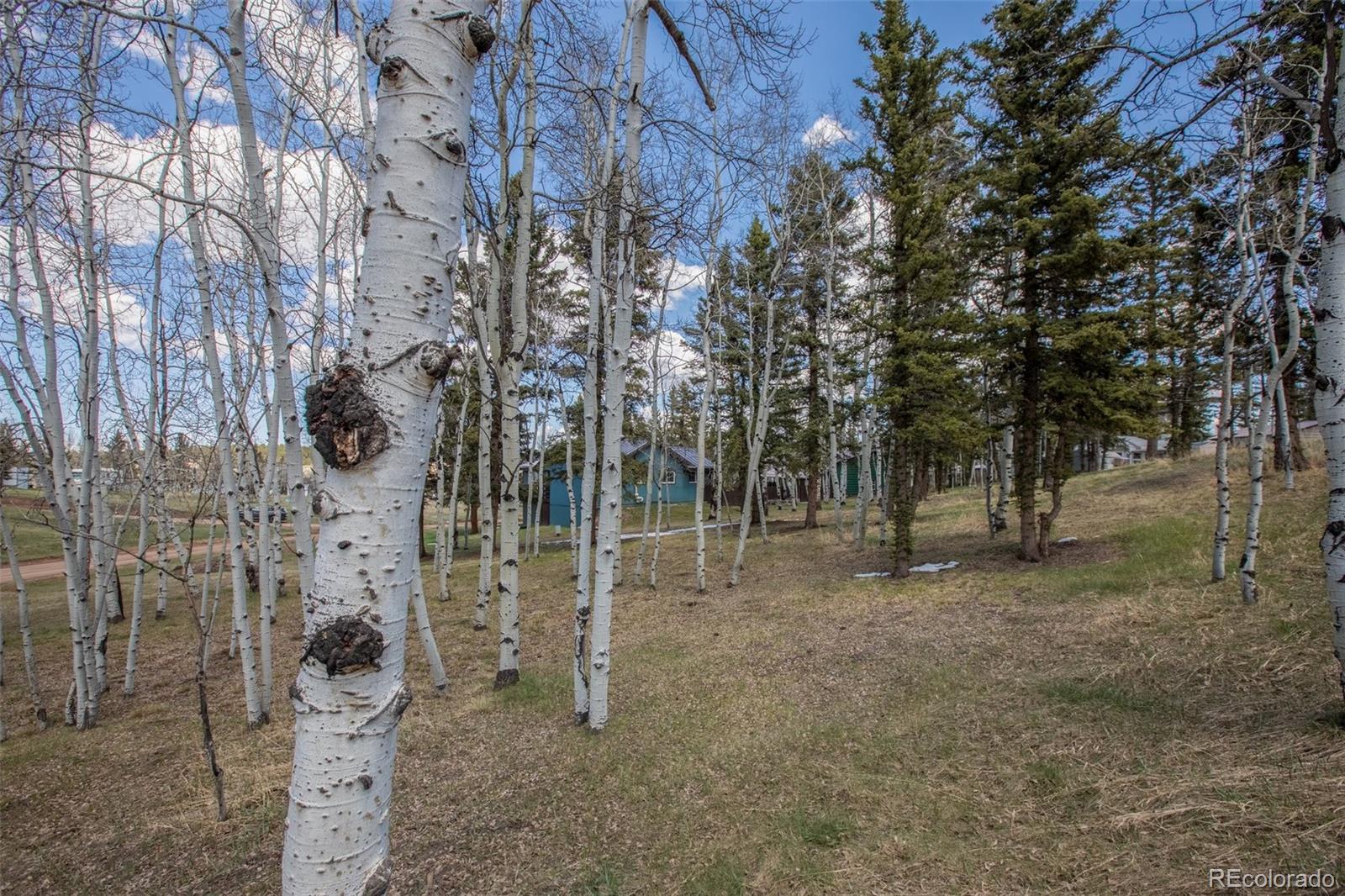 571 Will Scarlet Drive