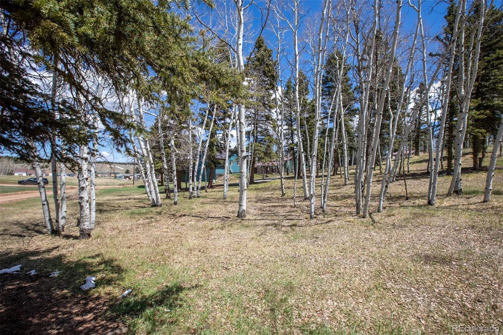 571 Will Scarlet Drive