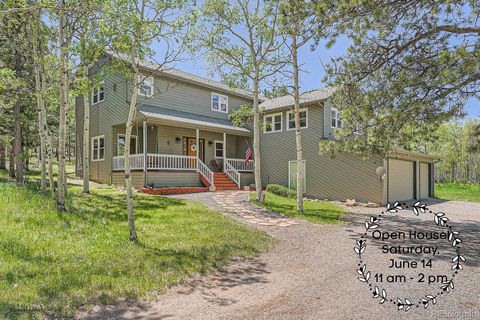 33 Sparrow Court Bailey CO 80421