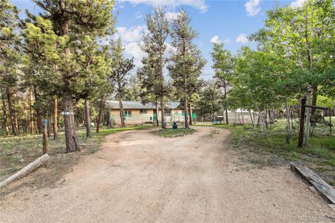 466 Gunsmoke Drive Bailey CO 80421