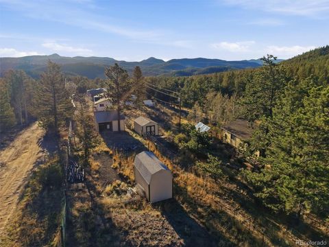 33799 Warren Road Pine CO 80470