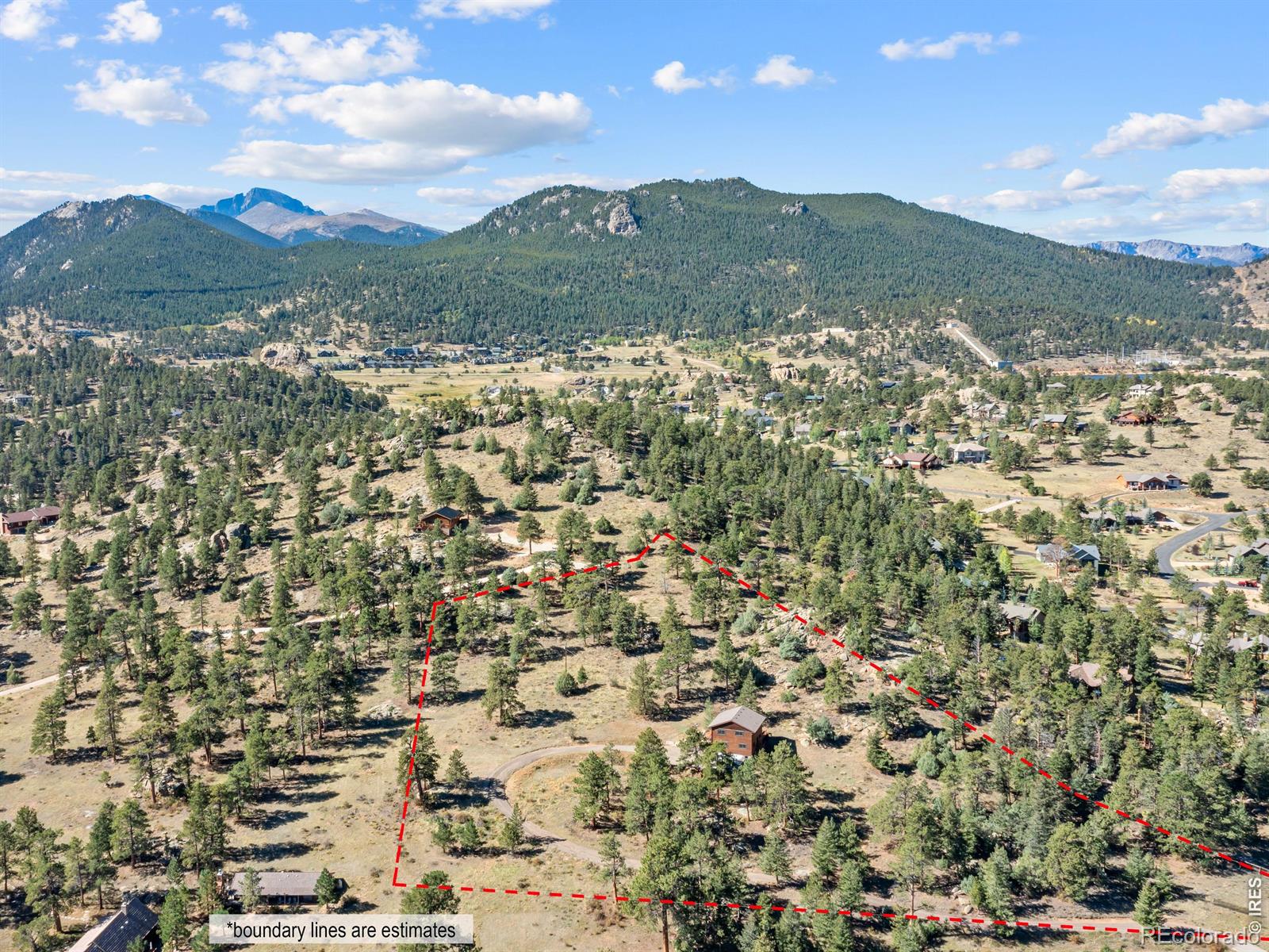 398 Bristlecone Court