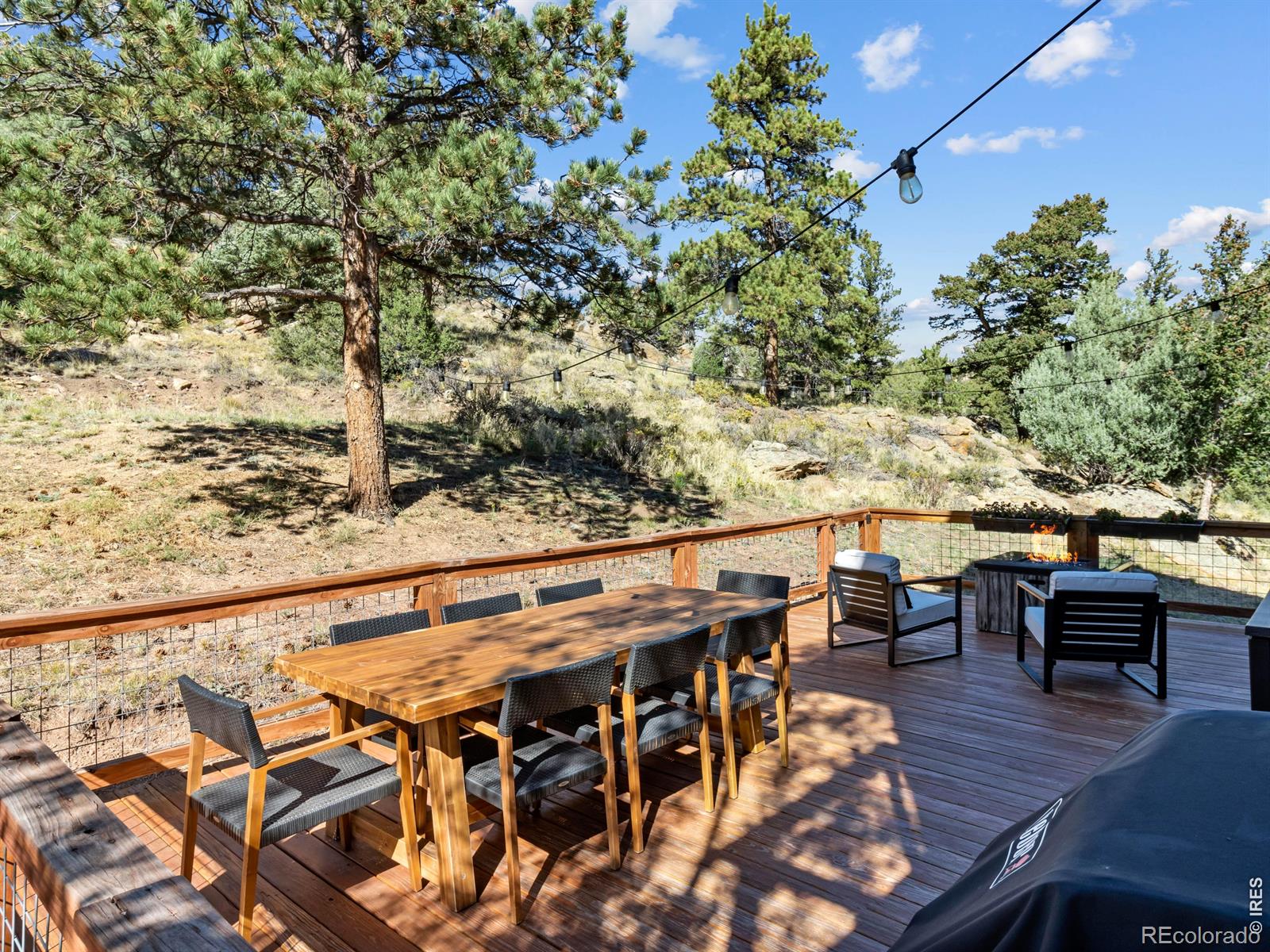 398 Bristlecone Court